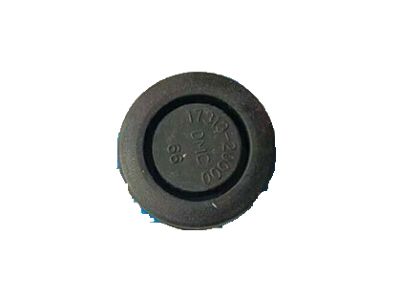 Kia 1731320000 Plug