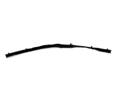 Hyundai 86435-3K000 Strip Assembly-Hood Seal No.1