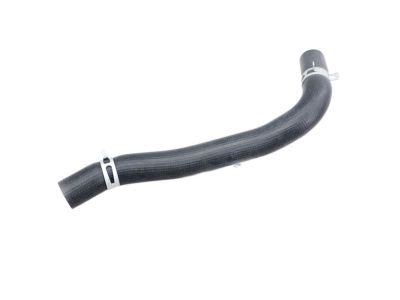 Hyundai 25415-3L200 Hose Assembly-Radaator, Lower