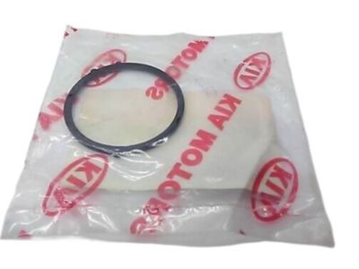 Kia 4613236002 Seal-Oil