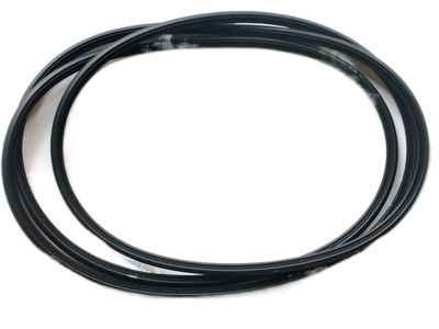 Hyundai 81613-2M001 Weatherstrip-Sunroof Glass