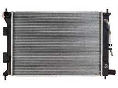 Hyundai 25310-3X100 Radiator Assembly