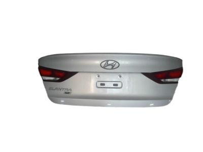 Hyundai 69200-F2050 Panel Assembly-Trunk Lid