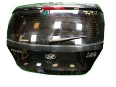 Hyundai 73700-G3010 Panel Assembly-Tail Gate