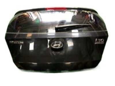 Hyundai 73700-G3010 Panel Assembly-Tail Gate