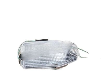 Hyundai 87624-3J000 Lamp Assembly-Puddle, RH