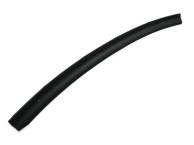 Hyundai 83170-3M000 Weatherstrip-Rear Door Lower, LH