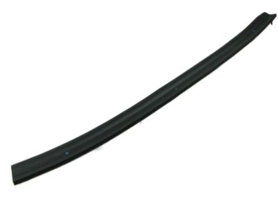 Hyundai 83170-3M000 Weatherstrip-Rear Door Lower, LH