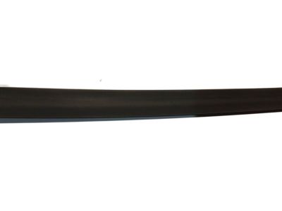 Hyundai 83220-2S000 Weatherstrip Assembly-Rear Door Belt Outside RH