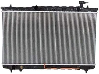 Hyundai 25310-26300 Radiator Assembly