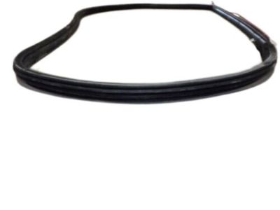 Hyundai 82120-2D010-OH Weatherstrip-Front Door Body Side RH