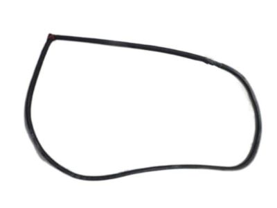 Hyundai 82120-2D010-OH Weatherstrip-Front Door Body Side RH