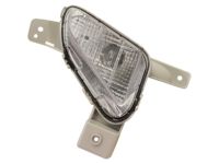 OEM Hyundai Sonata Lamp Assembly-Day Running Light, LH - 92207-C1550