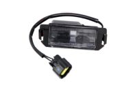 OEM Hyundai Veloster Lamp Assembly-License Plate, RH - 92502-2L500