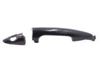 OEM 2013 Hyundai Genesis Door Handle Assembly, Exterior, Left - 82651-3M000