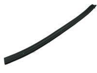 OEM 2009 Hyundai Genesis Weatherstrip-Rear Door Lower, LH - 83170-3M000