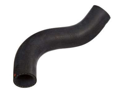 Honda 19502-PNB-000 Hose, Water (Lower)