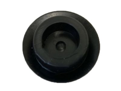 Honda 95550-20000 Plug, Blind (20MM)