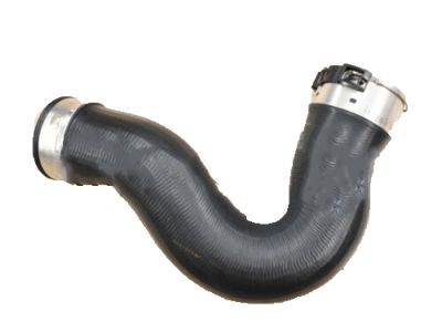 Honda 19502-RCJ-A00 Hose, Water (Lower)