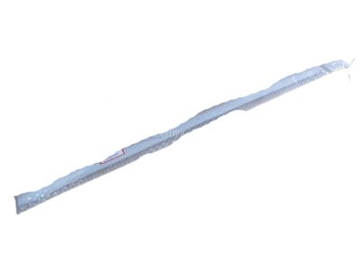 Honda 72335-SZT-003 Weatherstrip, R. FR. Door (Inner)