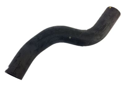 Acura 19506-PR7-A01 Hose, Rear Water (Lower) (White Painted)