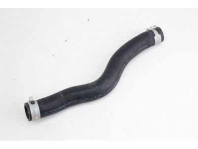 Honda 19501-5MR-A00 Hose, Water (Upper)