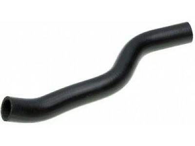 Honda 19501-RJE-A10 Hose, Water (Upper)