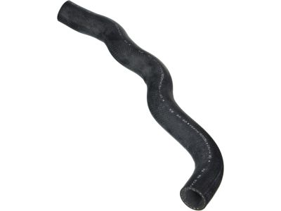 Honda 19501-RME-A00 Hose, Water (Upper)