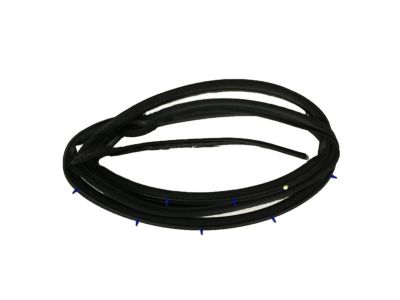 Honda 72310-TEA-T01 Weatherstrip, R. FR. Door