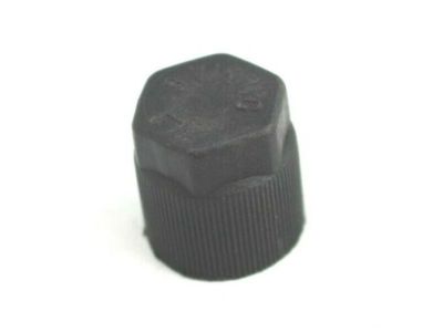 Acura 80865-SZN-A11 Valve Cap (H)