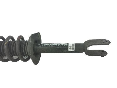 Honda 52610-TP7-A11 Shock Absorber Assembly, Right Rear