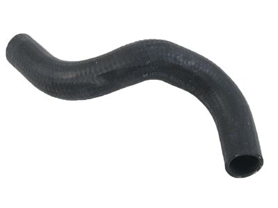 Honda 19501-P5M-000 Hose, Water (Upper)