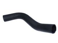 OEM Honda Civic Hose, Water (Lower) - 19502-R1A-A01