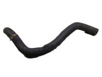 OEM 2014 Acura TSX Hose, Water (Lower) - 19502-R70-A00