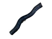 OEM 2014 Acura ILX Hose, Water (Upper) - 19501-RX0-A01