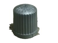 OEM Cap, TPMS Valve - 42757-S3V-C01