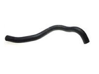 OEM Honda Odyssey Hose, Water (Lower) - 19502-P8F-A00