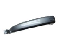 OEM 2007 Honda Odyssey Handle Assembly, Driver Side Slide Door (Outer) (Nimbus Gray Metallic) - 72680-SHJ-A11ZK