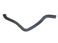 OEM Honda Civic Hose, Water (Lower) - 19502-P2A-000