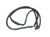 OEM Weatherstrip, R. FR. Door - 72310-SNE-A01