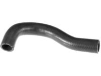 OEM 1998 Honda CR-V Hose, Water (Upper) - 19501-P3F-000