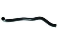 OEM 2005 Honda S2000 Hose, Water (Lower) - 19502-PCX-010