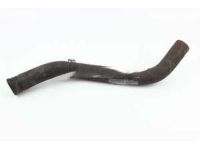 OEM 2020 Honda Accord Hose, Water (Lower) - 19502-6C1-A01