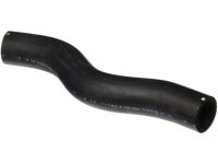 OEM Honda Civic Hose, Water (Upper) - 19501-RNA-A01