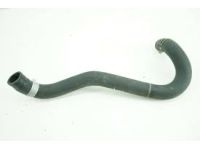 OEM 2007 Honda Civic Hose, Water (Lower) - 19504-RRA-A01