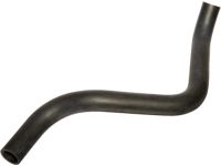 OEM 1999 Acura TL Hose, Water (Lower) - 19502-P8A-A00