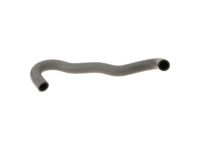 OEM Acura Tube, Suction - 53731-SJA-000