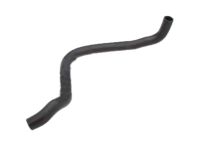 OEM 1999 Honda Prelude Hose, Water (Lower) - 19502-P5M-000