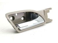 OEM Honda Odyssey Handle Assembly (Warm Gray) - 72120-TK8-A11ZD