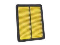OEM 2011 Acura TSX Air Filter - 17220-R70-A00